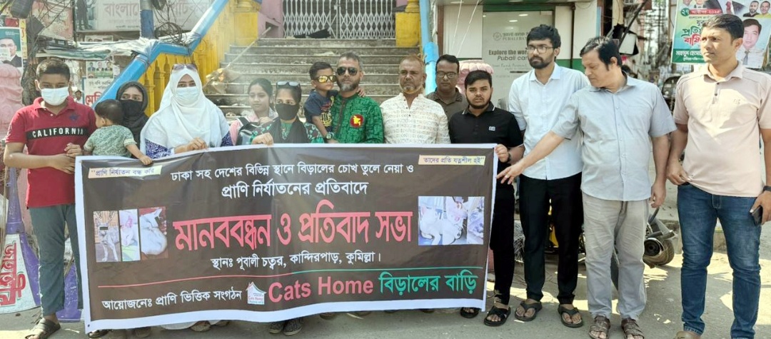 ঢাকাসহ দেশের বিভিন্ন স্থানে বিড়ালের চোখ তুলে নেয়া ও প্রাণি নির্যাতনের প্রতিবাদে মানববন্ধন ও প্রতিবাদ সভা