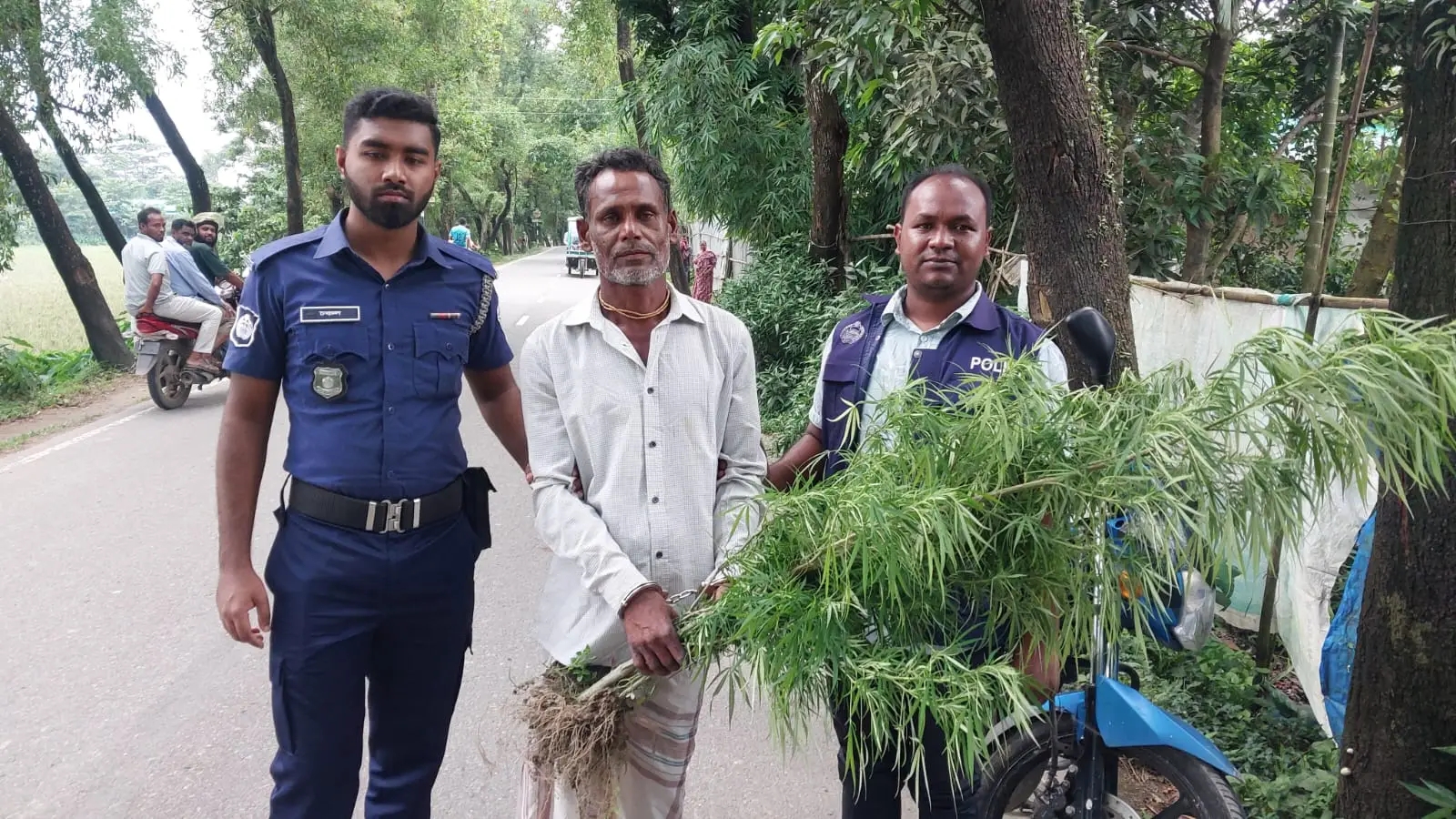 সুনামগঞ্জের হরিনগরে বাড়ির ছাঁদ থেকে গাঁজার গাছসহ ১ জন আটক।