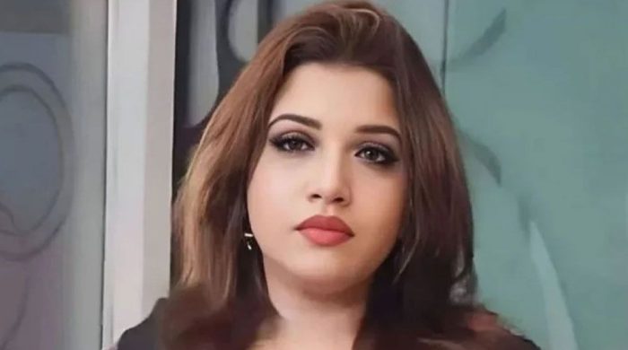 ট্রিলিয়ন ডলারের অর্থনীতির লক্ষ্য পূরণে কাজ করছে সরকার: পররাষ্ট্র প্রতিমন্ত্রী