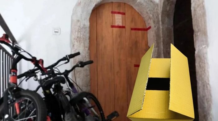 ফ্রান্সে বাক্সের ভেতর থেকে উদ্ধার হলো ৫ নবজাতকের দেহাবশেষ