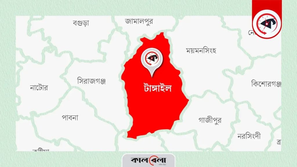 যমজ কন্যাসন্তানকে রেখে উধাও মা, দিশেহারা বাবা