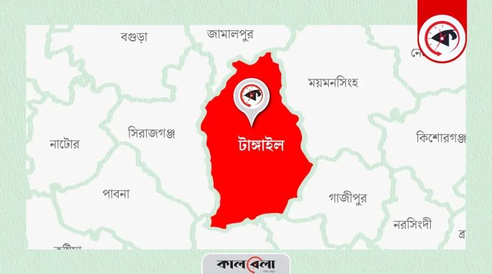 যমজ কন্যাসন্তানকে রেখে উধাও মা, দিশেহারা বাবা
