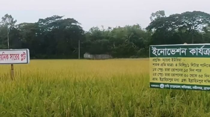 খরচ ও ভর্তুকি কমাতে ন্যানো সারের দিকে ঝুঁকছে সরকার