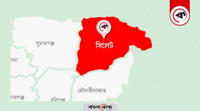 সিলেটে ৮ মাসের শিশুর মৃত্যুর ঘটনায় আইসিইউ না পাওয়ার অভিযোগ