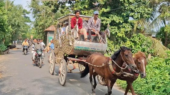 ২৫ বছর ইমামতির পর ঘোড়াগাড়িতে বিদায় মাওলানা আবুল হোসেনের
