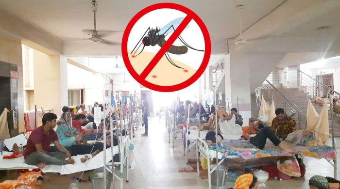 ৬৪ জেলায় ছড়িয়ে পড়েছে ডেঙ্গু, আক্রান্তের সংখ্যা বাড়ছে