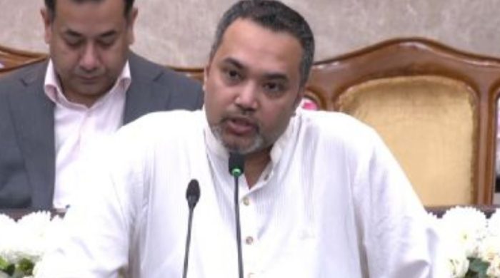 সরকারের ১৮০ দিনের সাফল্য নিয়ে মাহদী আমিনের বক্তব্য