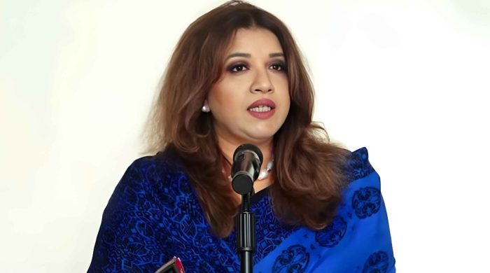 ভারত, জাপানসহ সব দেশ সফরের বিষয়ে ইতিবাচক সরকার: পররাষ্ট্র প্রতিমন্ত্রী