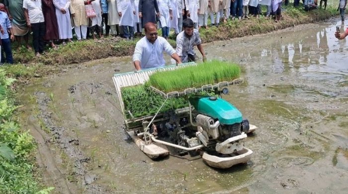 এমপি মাছুম মোস্তফার রাইস ট্রান্সপ্লান্টার চালিয়ে আমন চারা রোপণ
