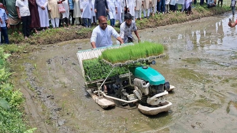 এমপি মাছুম মোস্তফার রাইস ট্রান্সপ্লান্টার চালিয়ে আমন চারা রোপণ
