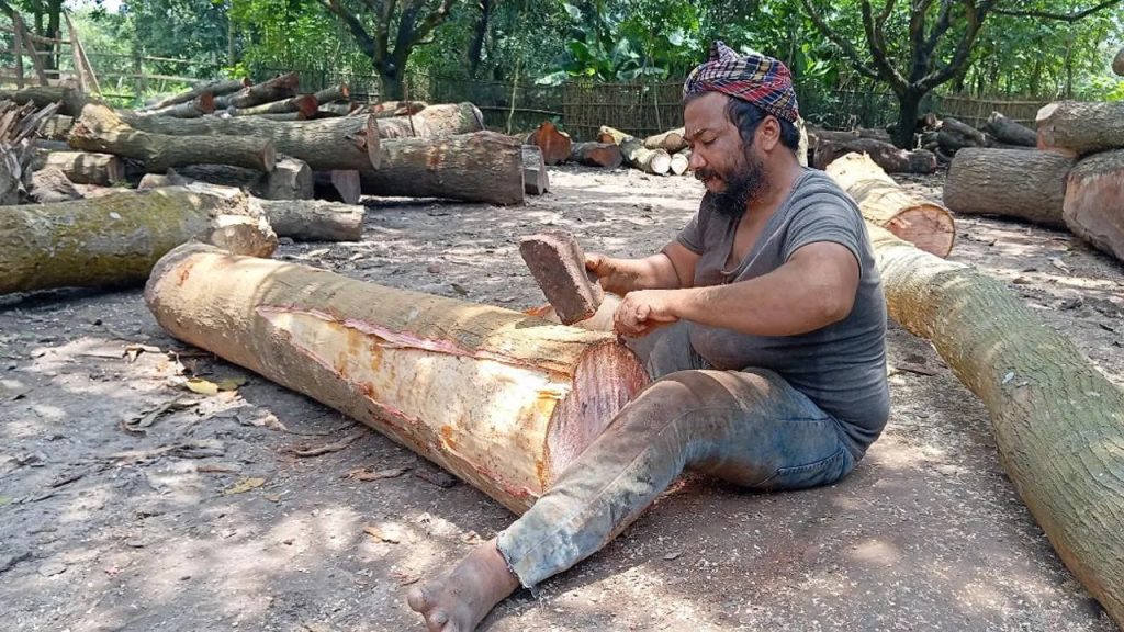 দৃষ্টিহীন মুকলেস আলীর সংগ্রামী জীবন
