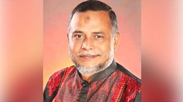 পরাজিত শক্তি বিদেশে গণতন্ত্র নস্যাতের ষড়যন্ত্র করছে: সরকার দলীয় হুইপ