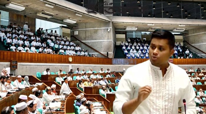 অর্থ মন্ত্রণালয়-সম্পর্কিত কমিটির বৈঠকে অসহযোগিতার অভিযোগ হাসনাতের
