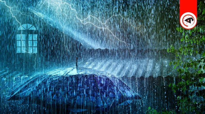 সকাল ৯টার মধ্যে বৃষ্টি হতে পারে ৭ অঞ্চলে