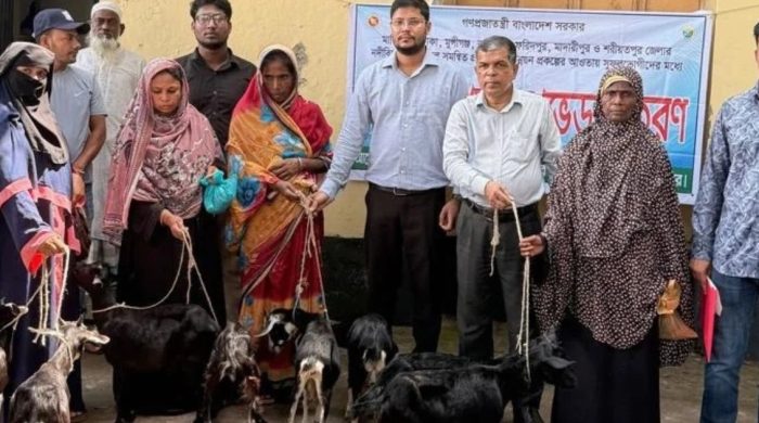 নদীবিধৌত চরাঞ্চলের খামারিদের জন্য ছাগল বিতরণ